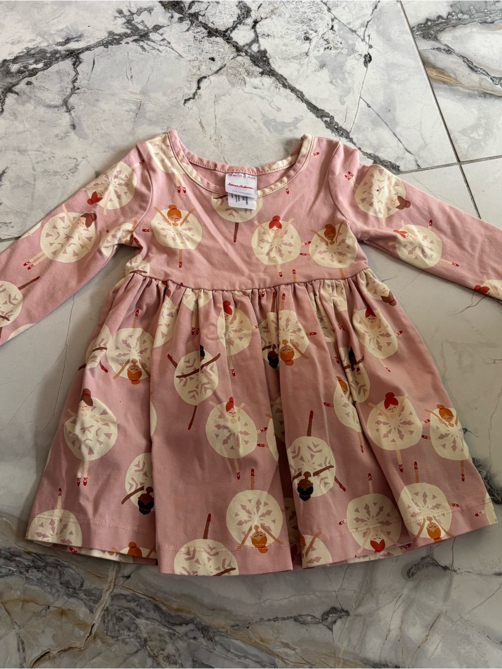 Hanna Andersson Pink Long-Sleeve Twirl Dress with Cream Dandelion Motif